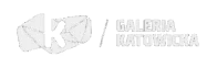logo Galeria Katowicka